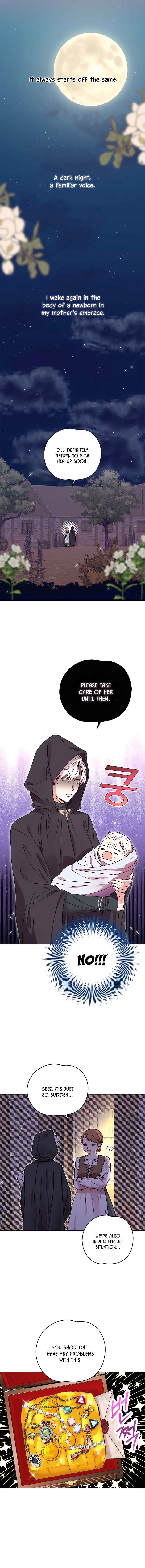 Surviving as an Illegitimate Princess Chapter 1 page 3