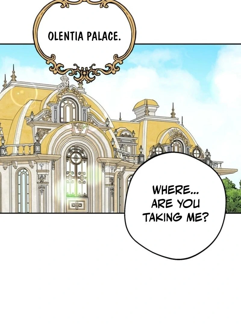 Surviving as an Illegitimate Princess Chapter 120 page 65