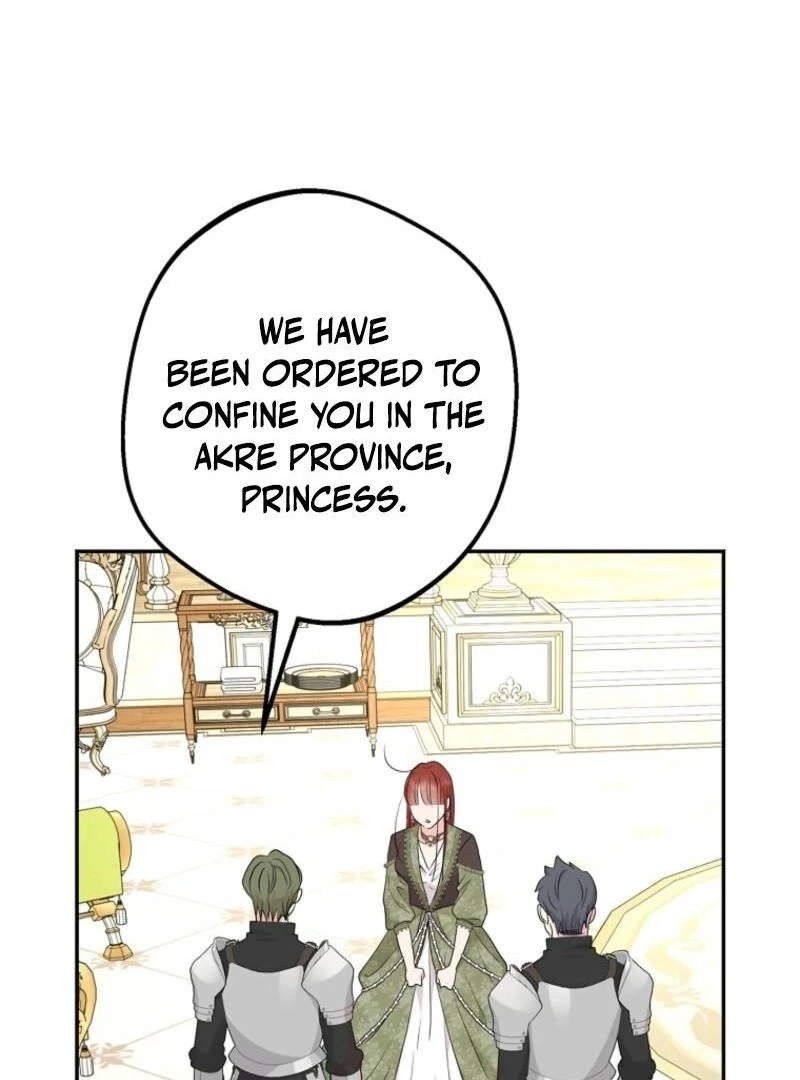Surviving as an Illegitimate Princess Chapter 120 page 66