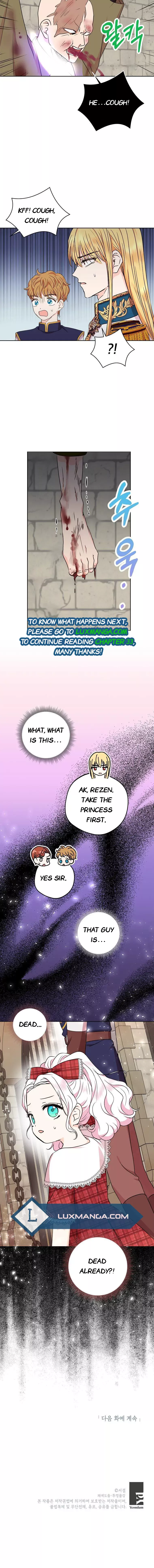 Surviving as an Illegitimate Princess Chapter 32.5 page 7