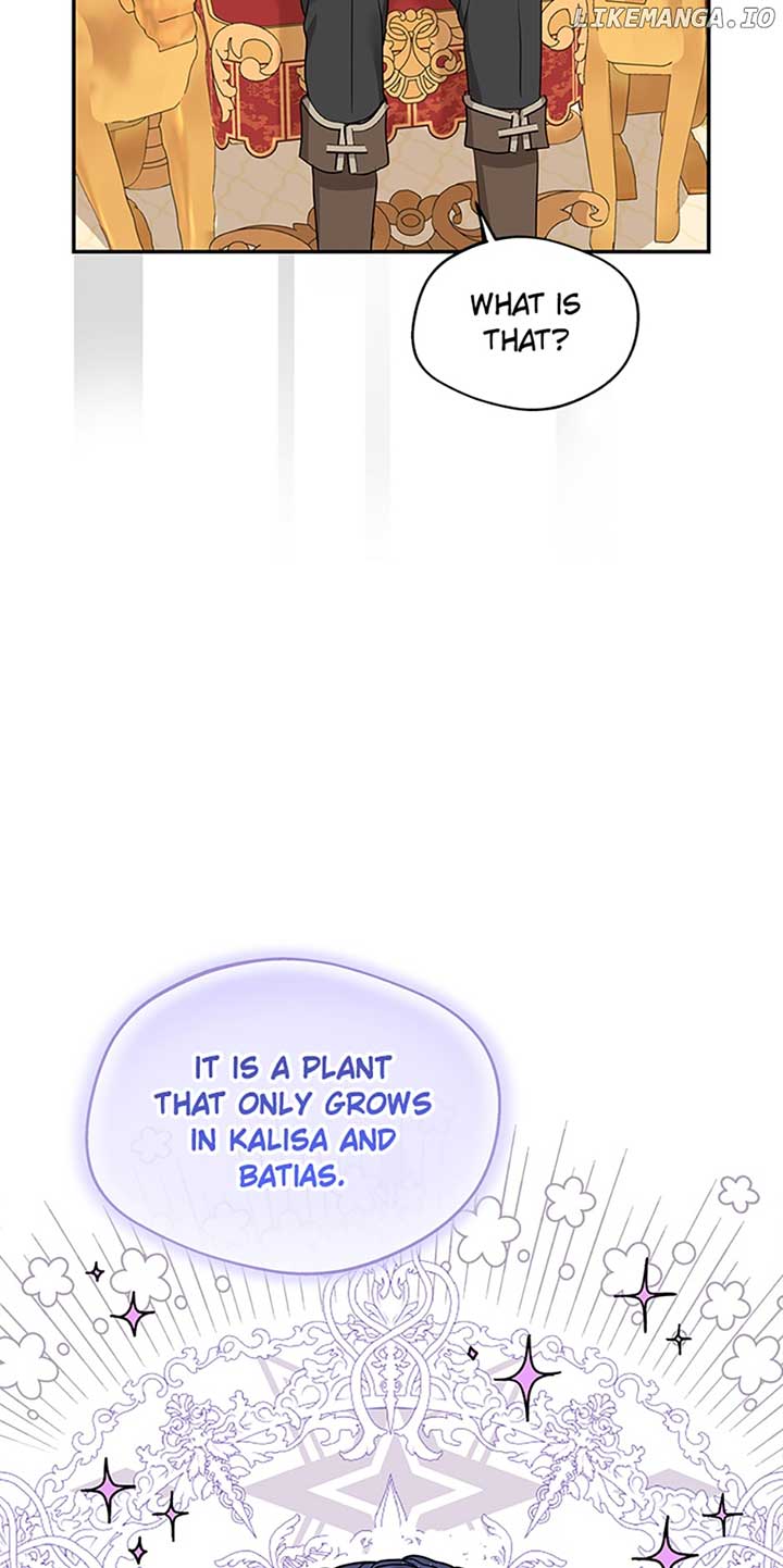 Surviving as an Illegitimate Princess Chapter 57 page 35