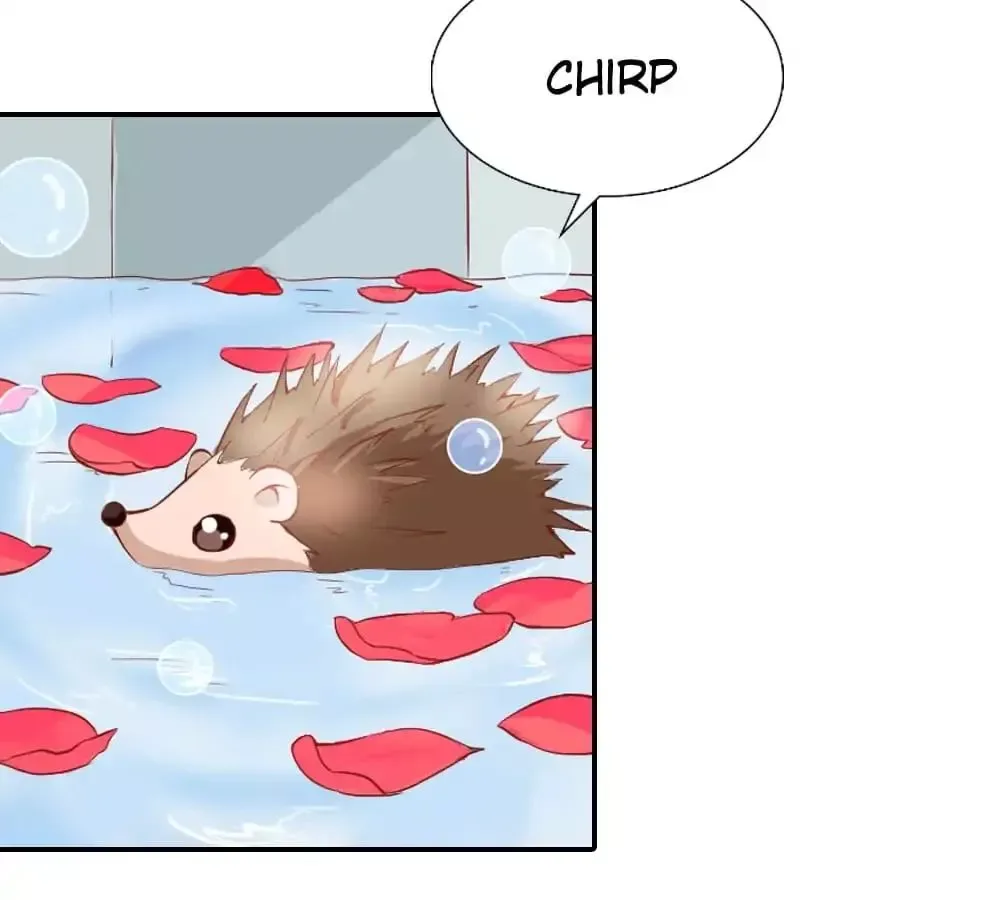 Sweety Curing Blood Chapter 33 page 17