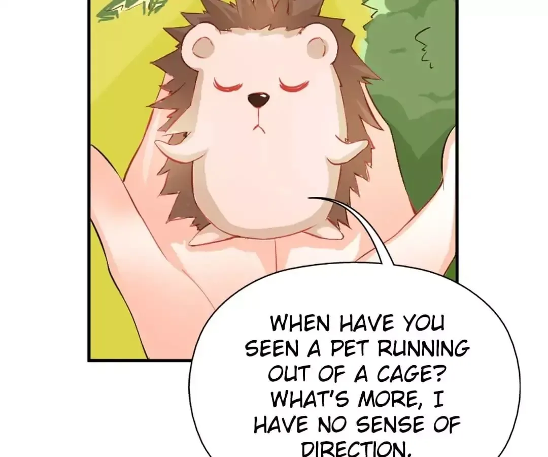 Sweety Curing Blood Chapter 40 page 17