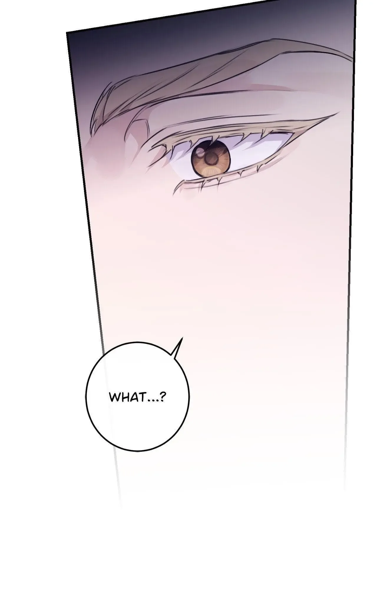 Symbiotic Relationship Between the Sun and the Moon Chapter 18 page 14