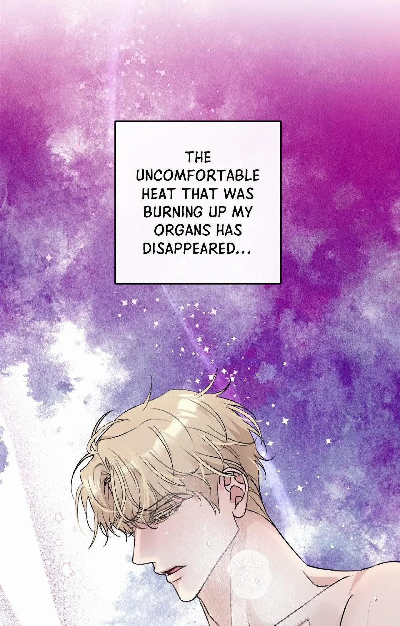 Symbiotic Relationship Between the Sun and the Moon Chapter 25 page 37