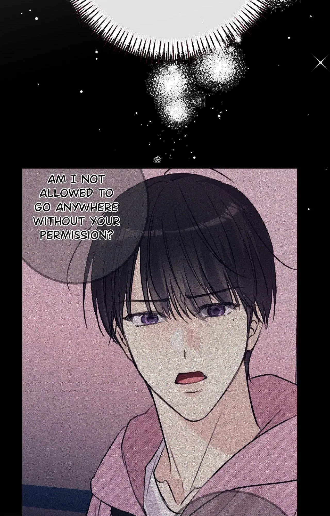Symbiotic Relationship Between the Sun and the Moon Chapter 29 page 53