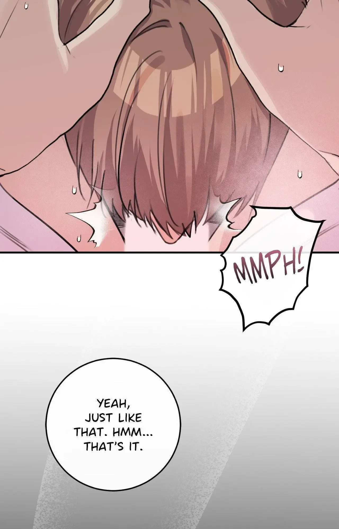 Symbiotic Relationship Between the Sun and the Moon Chapter 29 page 74