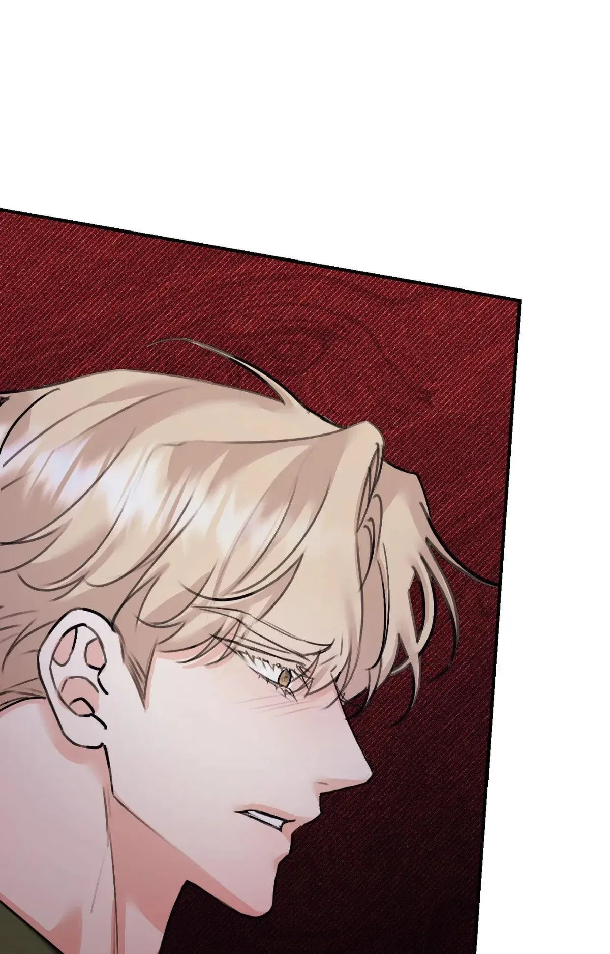 Symbiotic Relationship Between the Sun and the Moon Chapter 50 page 37