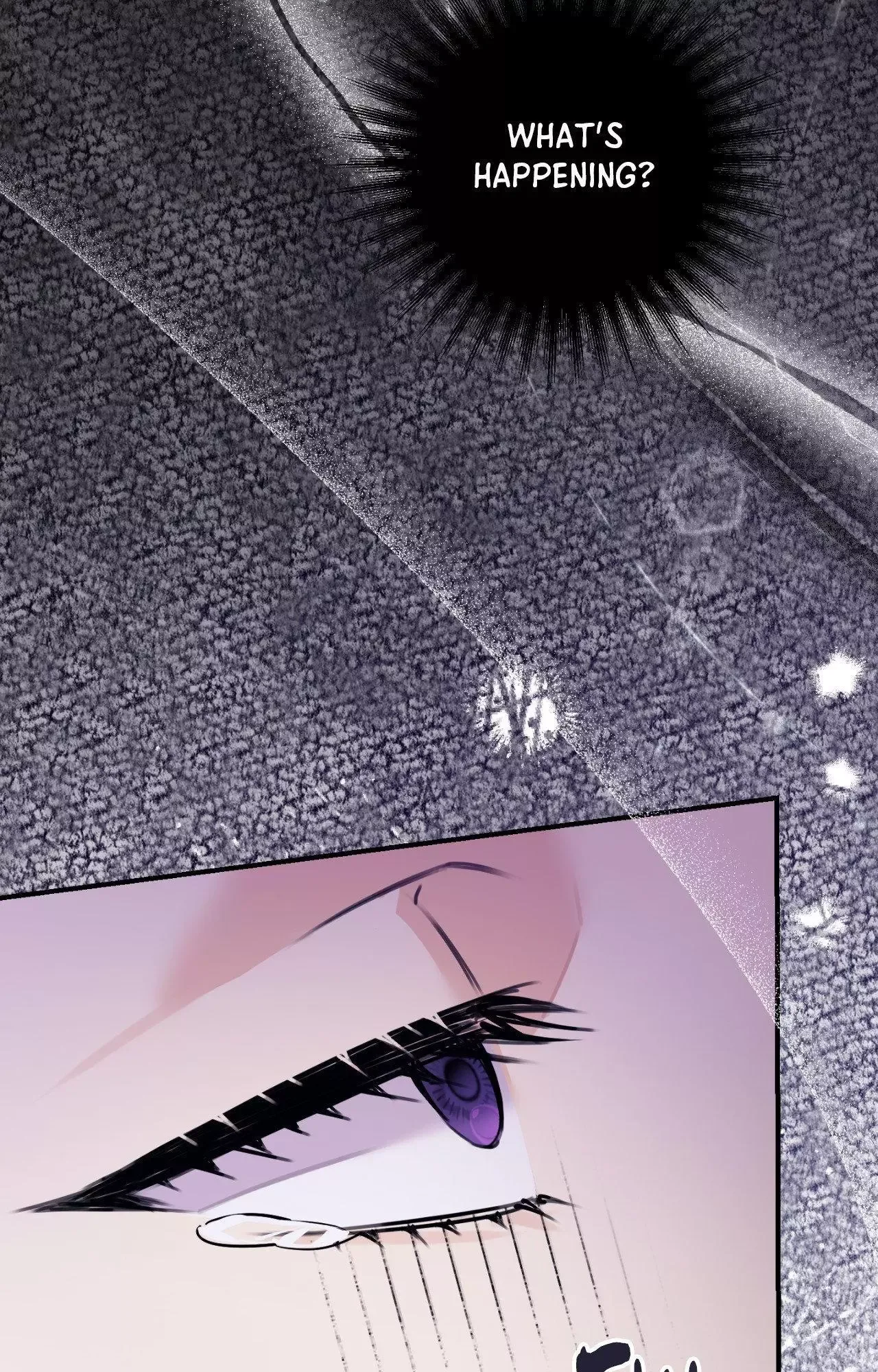 Symbiotic Relationship Between the Sun and the Moon Chapter 51 page 108
