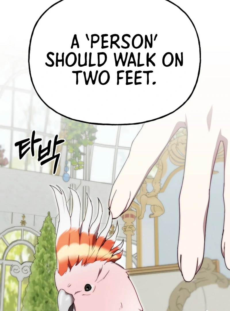 Tamed the Monster Prince Chapter 12 page 71
