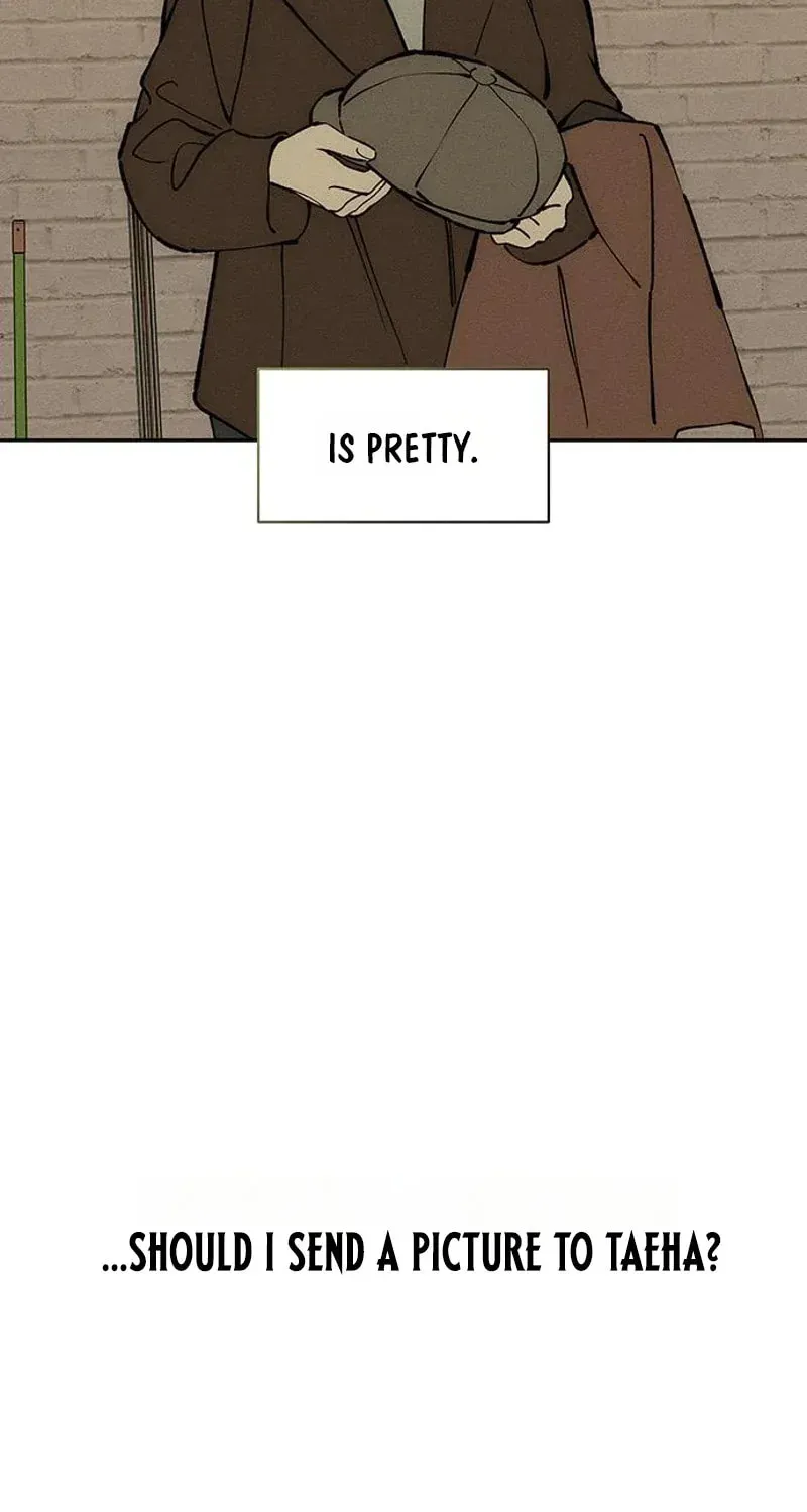Tears on a Withered Flower Chapter 105 page 85