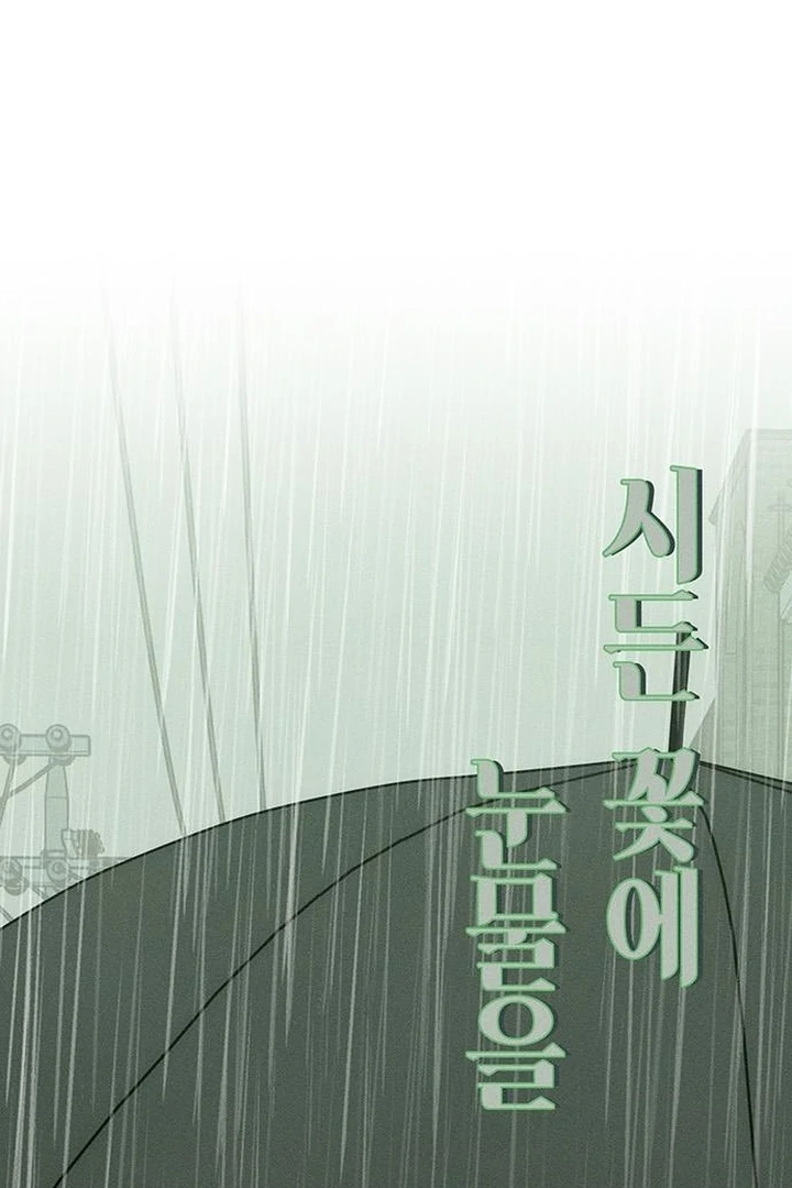 Tears on a Withered Flower Chapter 60 page 87