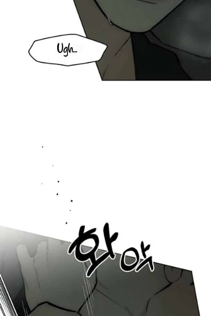 Tears on a Withered Flower Chapter 64 page 77