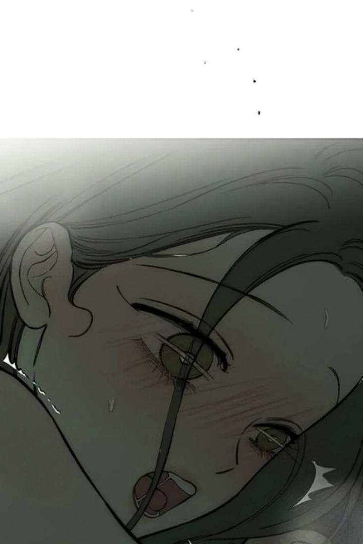 Tears on a Withered Flower Chapter 64 page 106