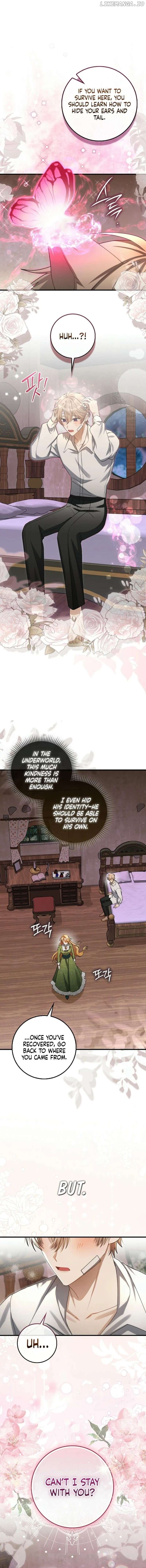 The Baby Fairy is a Villain Chapter 13 page 5