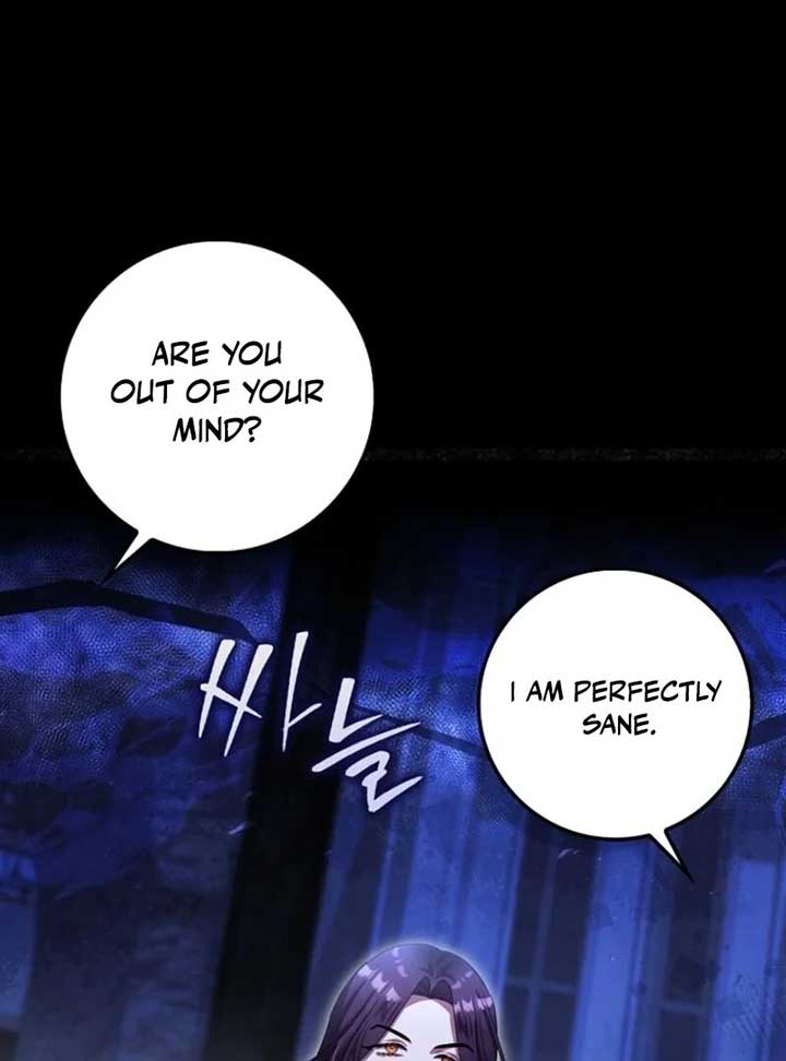 The Baby Fairy is a Villain Chapter 33 page 17