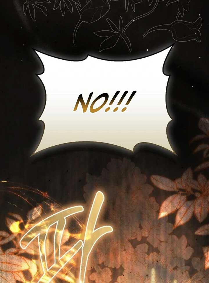 The Baby Fairy is a Villain Chapter 33 page 117