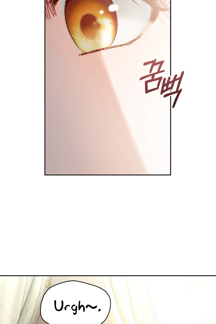 The Baby Prisoner in the Winter Castle Chapter 56 page 27