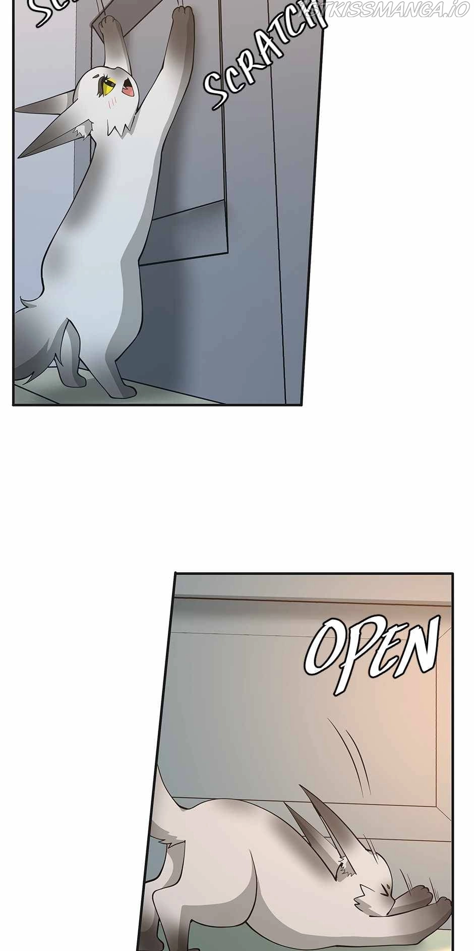 The Beginning After The End Chapter 133 page 41