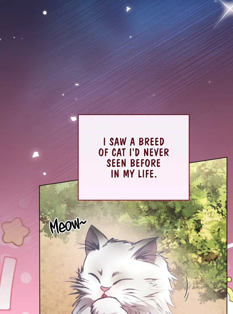 The Black-Haired Dad Is Not Reaping Chapter 25 page 12