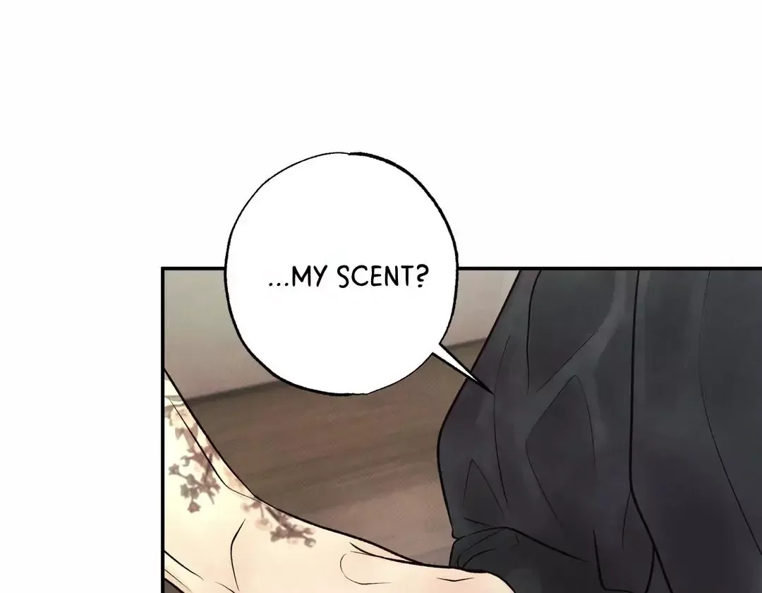 The Boundary of Delusion Chapter 24 page 13