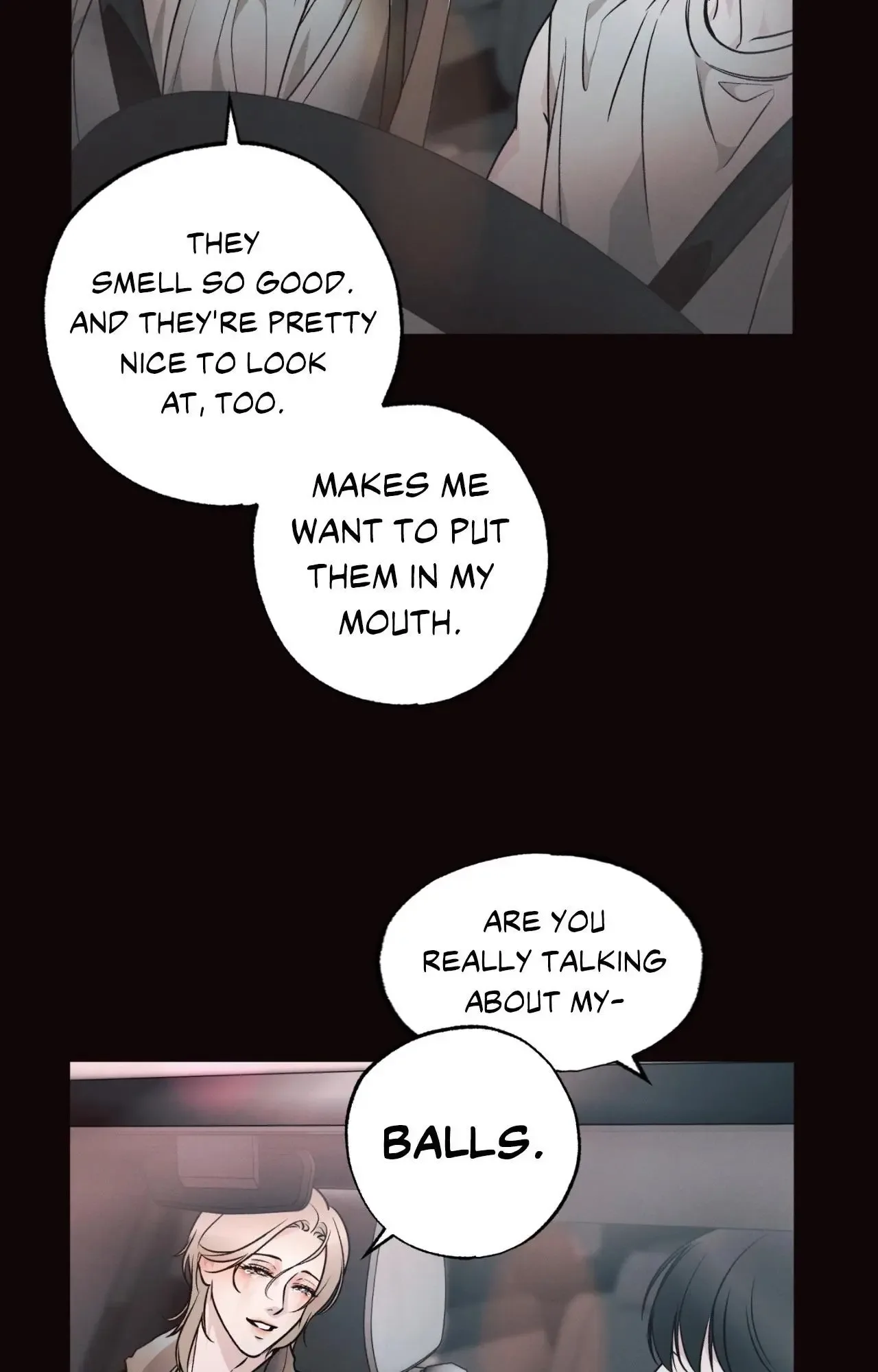 The Boundary of Delusion Chapter 39 page 19