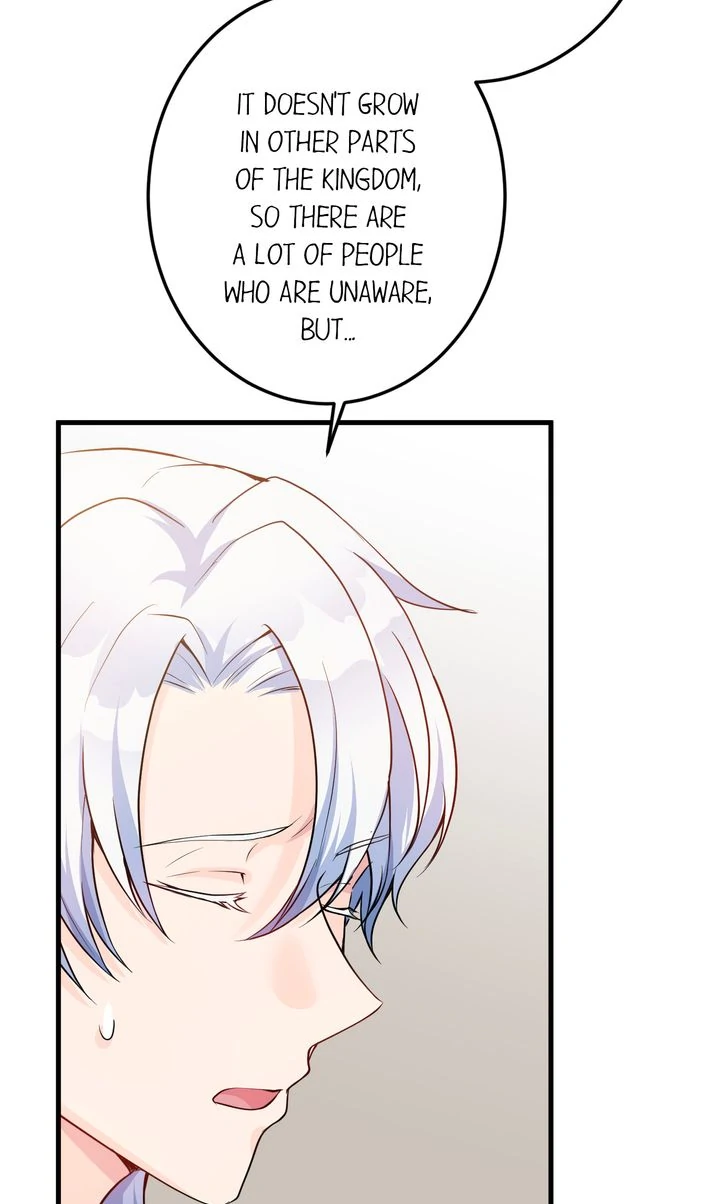 The Caring Young Lady Wants to Be a Wall Chapter 22 page 66