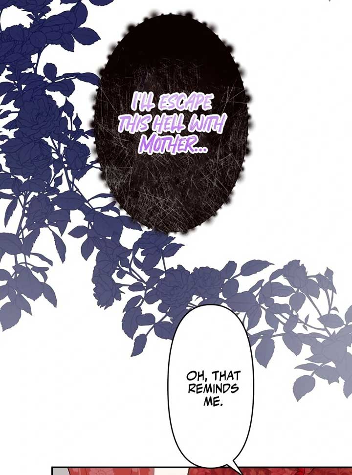 The Child of Sin is the Beloved Bride of the Ice Lion Chapter 1 page 23