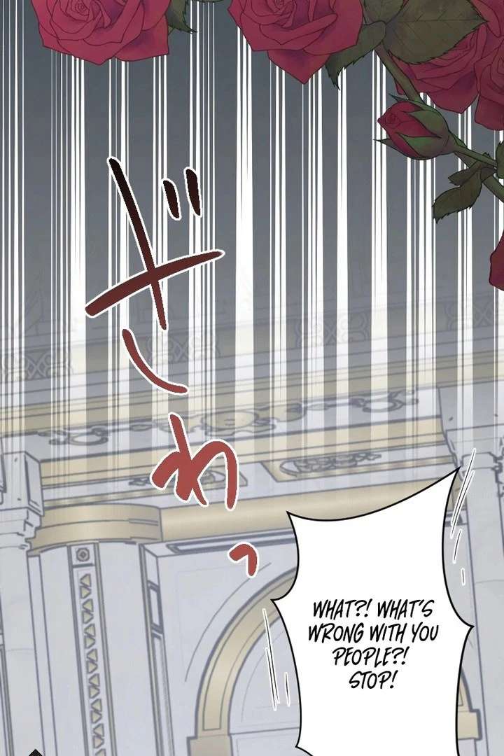 The Child of Sin is the Beloved Bride of the Ice Lion Chapter 35 page 105