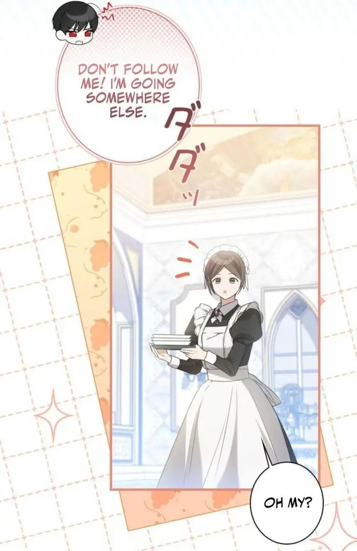 The Count's Beloved Contract Young Lady Chapter 3 page 10