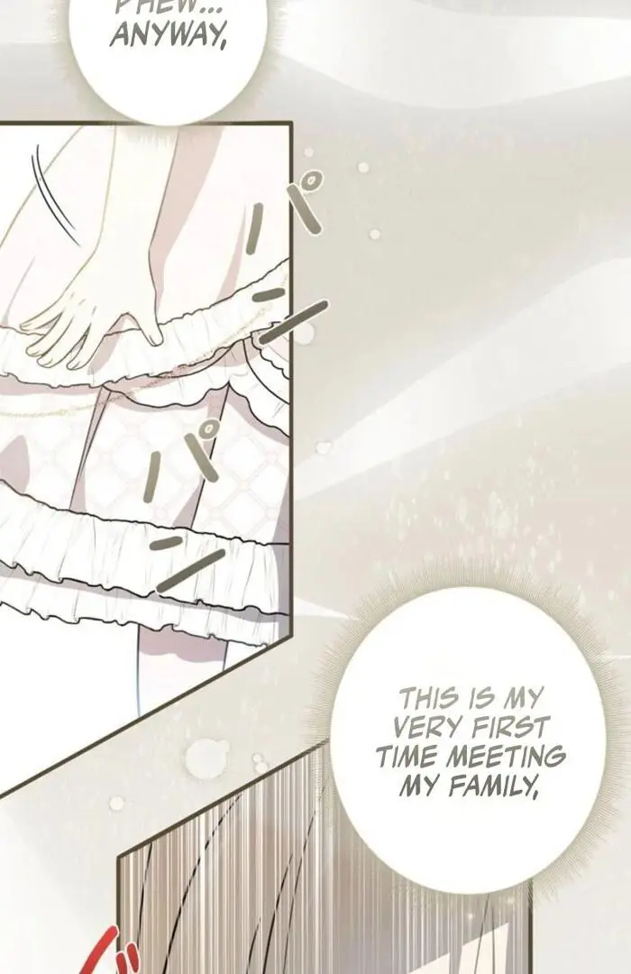 The Count's Beloved Contract Young Lady Chapter 3 page 24
