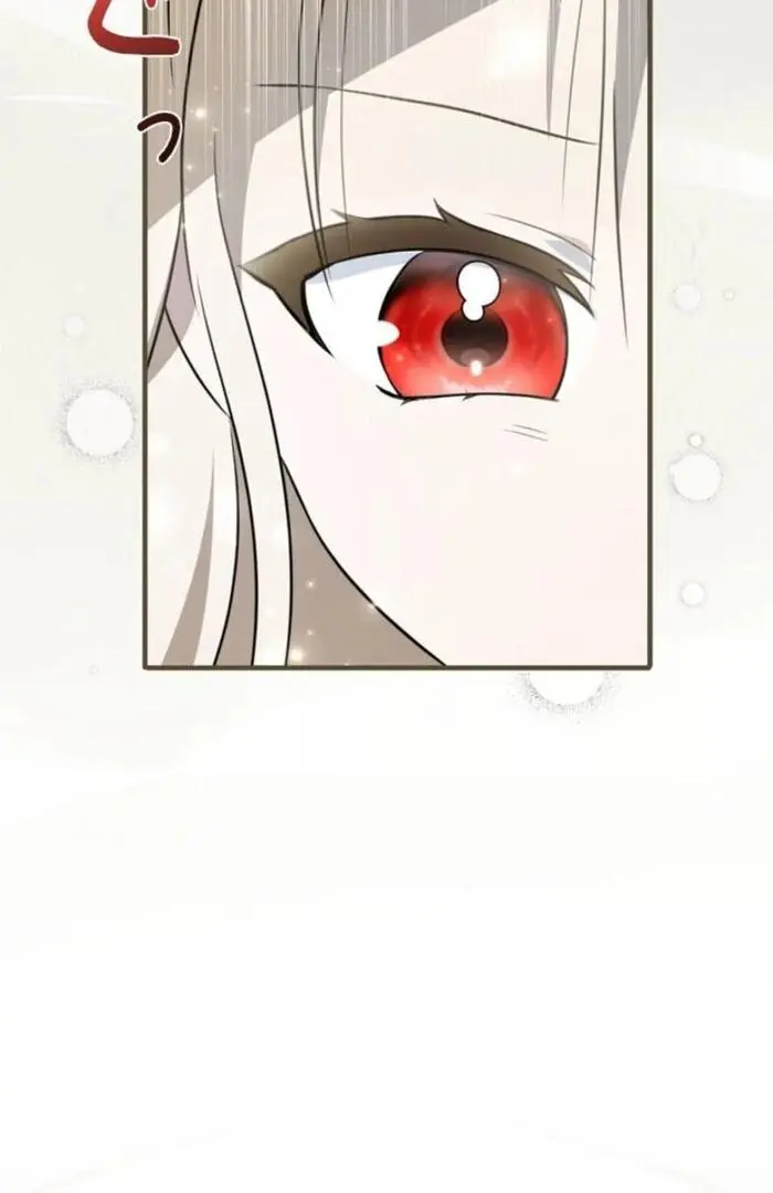 The Count's Beloved Contract Young Lady Chapter 3 page 25