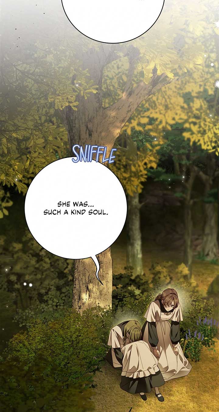 The Count’s Secret Maid Chapter 46 page 15