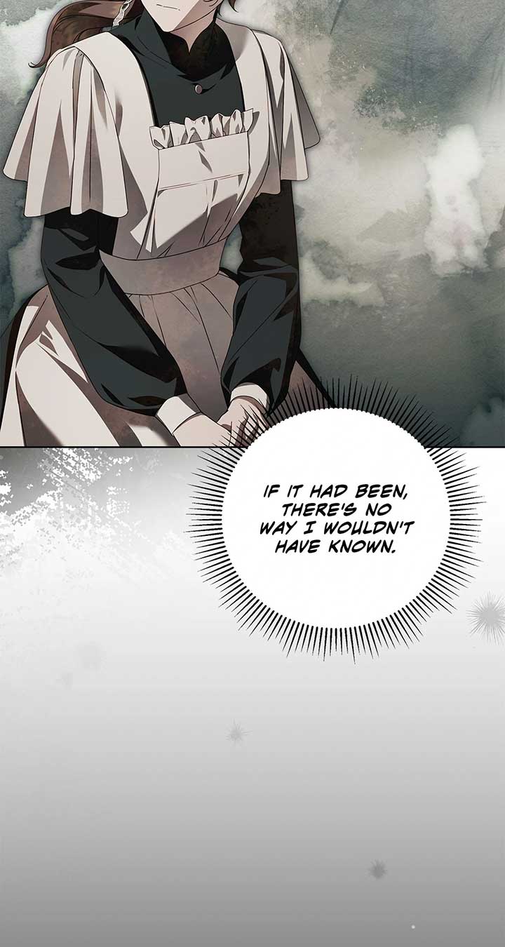 The Count’s Secret Maid Chapter 46 page 18