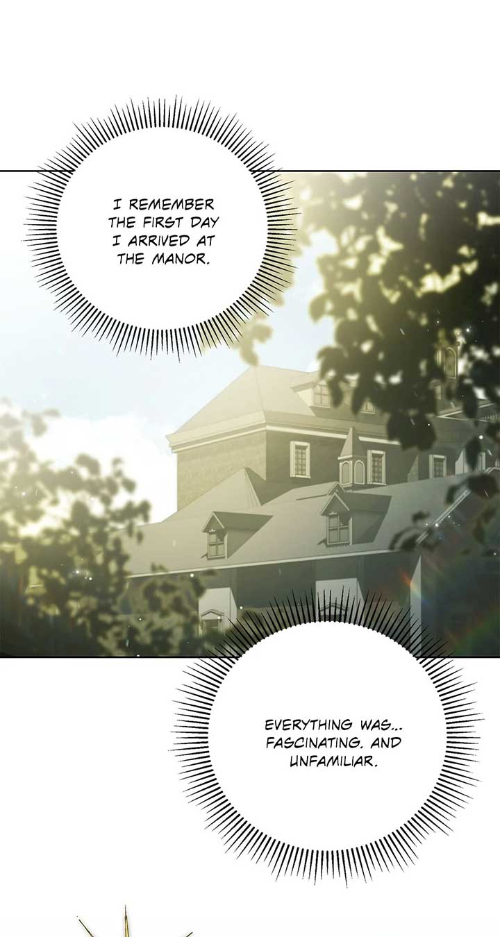 The Count’s Secret Maid Chapter 46 page 50