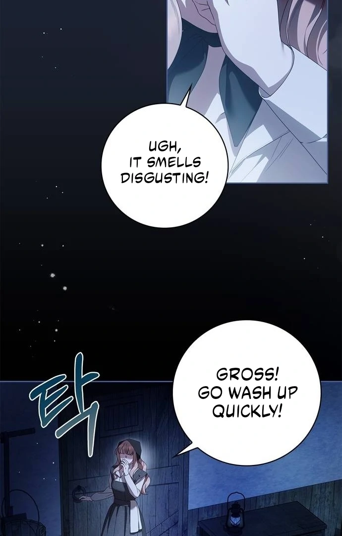 The Count’s Secret Maid Chapter 50 page 26