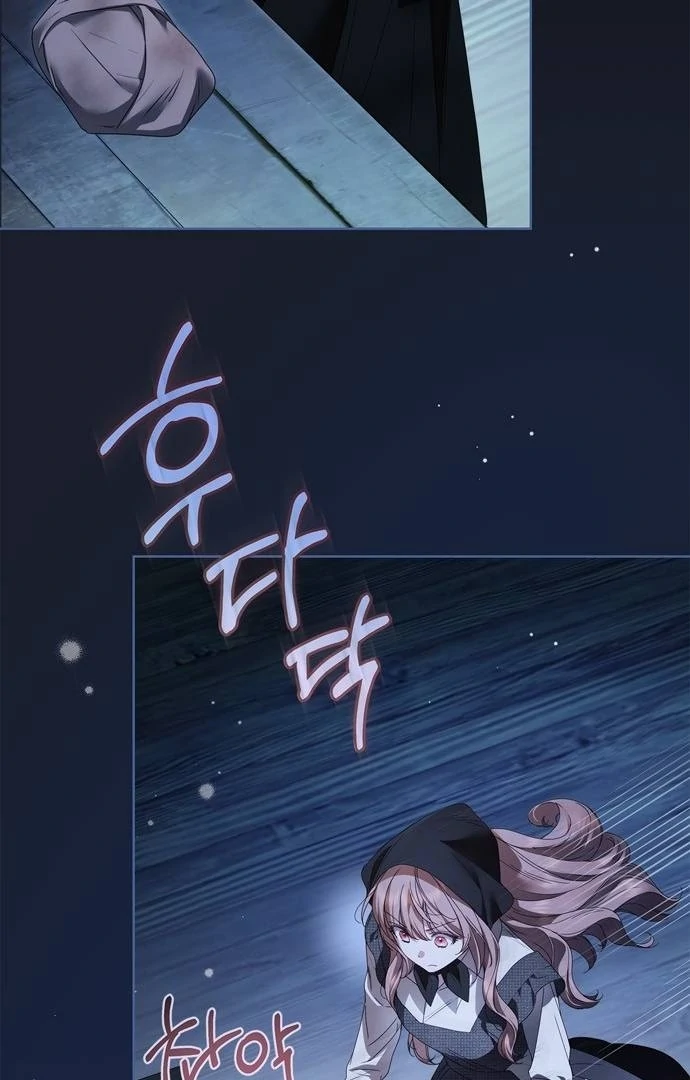 The Count’s Secret Maid Chapter 50 page 29