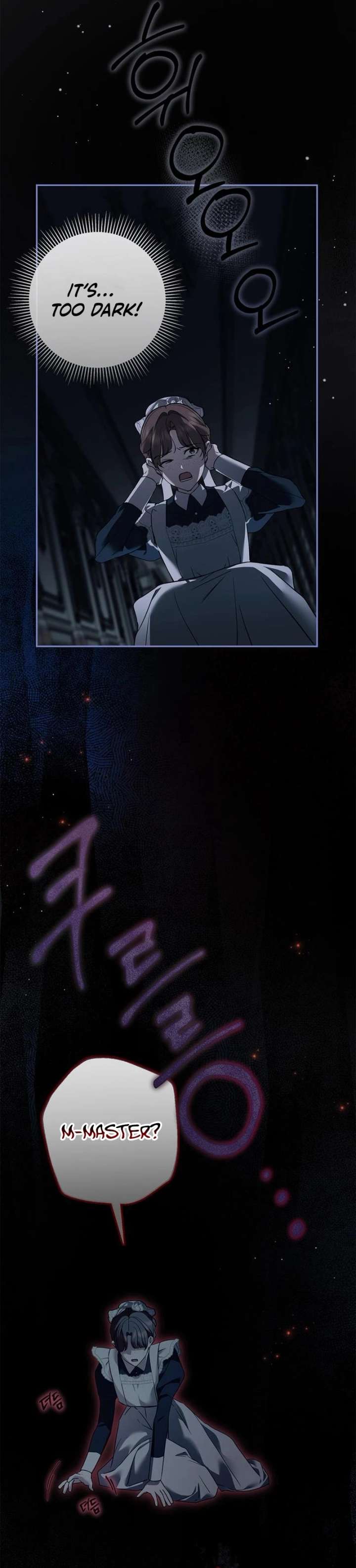 The Count’s Secret Maid Chapter 66 page 12