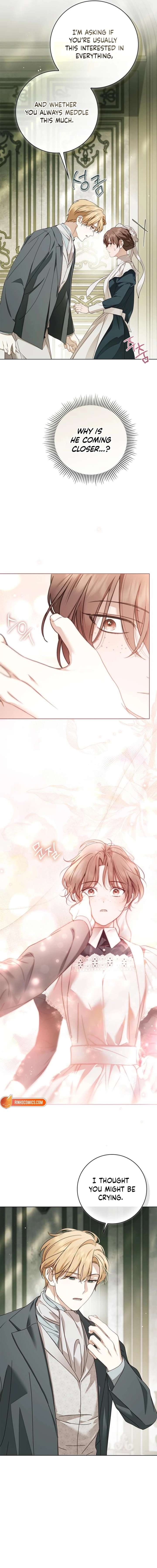 The Count’s Secret Maid Chapter 84 page 8