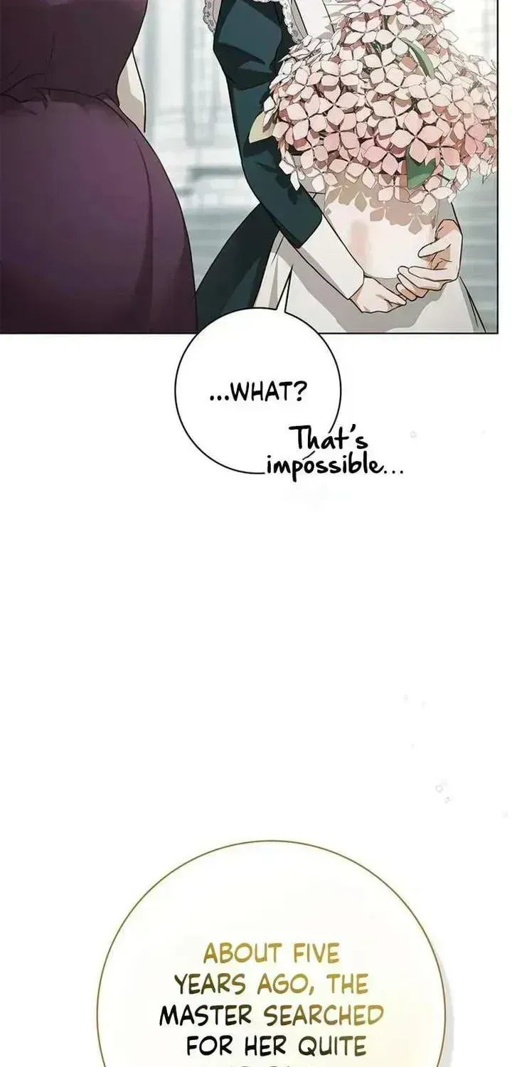 The Count’s Secret Maid Chapter 95.5 page 67