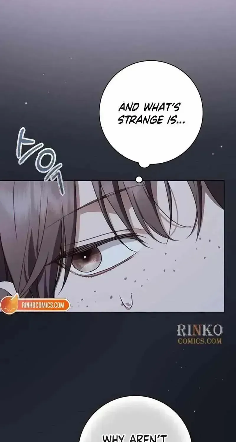 The Count’s Secret Maid Chapter 96.2 page 38