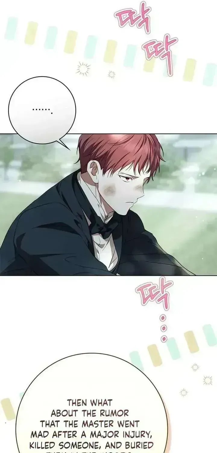 The Count’s Secret Maid Chapter 96.3 page 11
