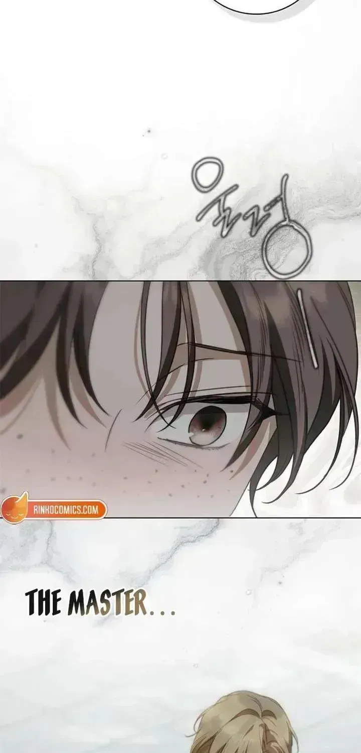 The Count’s Secret Maid Chapter 97.1 page 69