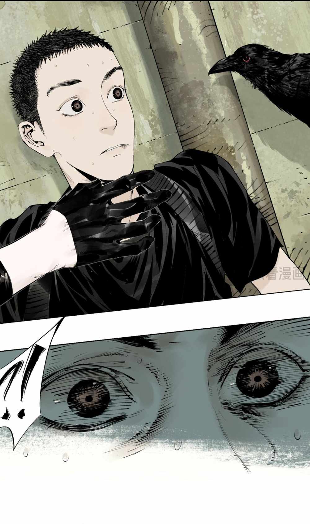 The Crow Chapter 8 page 14