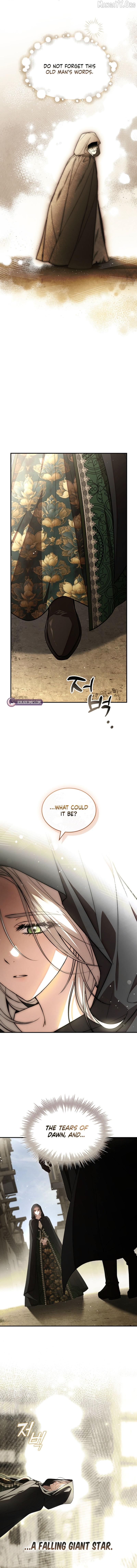 The Crown I Will Seize Chapter 17 page 13