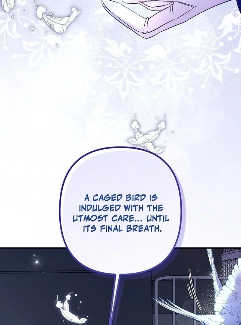 The Dark Duke's Pet Bird Chapter 1 page 17