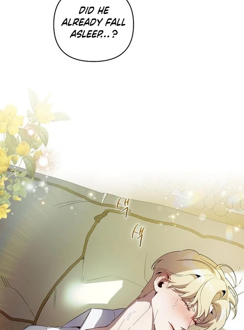 The Dark Duke's Pet Bird Chapter 14 page 42