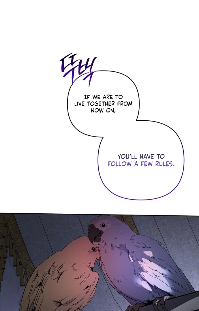The Dark Duke's Pet Bird Chapter 15 page 83