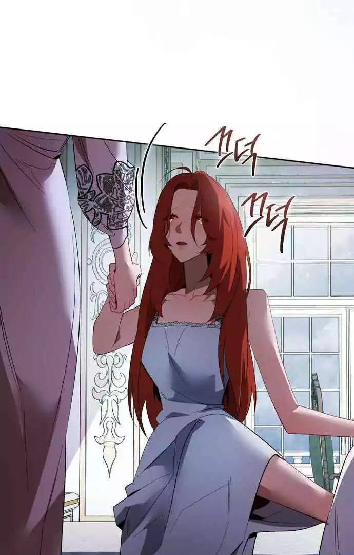 The Dark Duke's Pet Bird Chapter 17 page 28