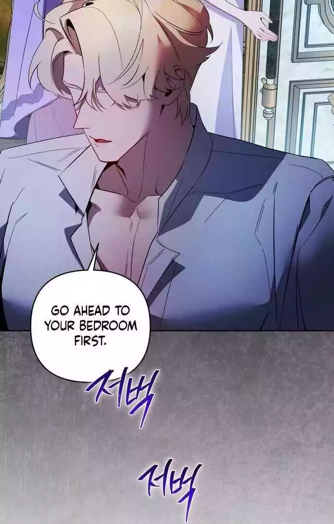 The Dark Duke's Pet Bird Chapter 17 page 89